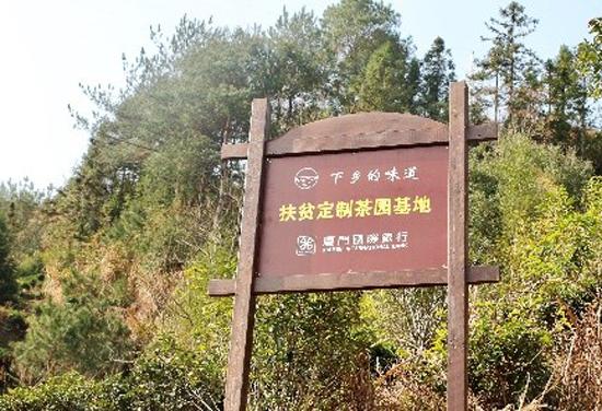 厦门国际银行：党建共建助力区域乡村振兴